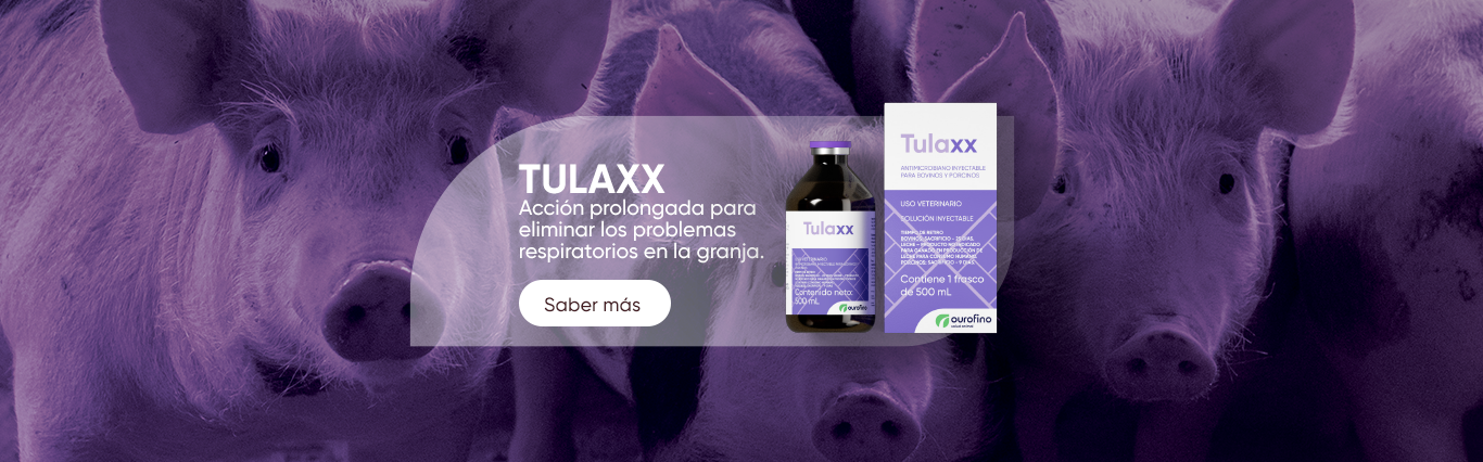 Tulaxx