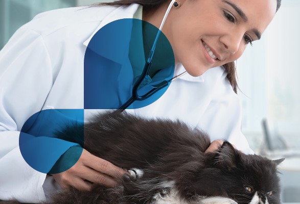 Inscripciones abiertas para programa dirigido a estudiantes de veterinaria